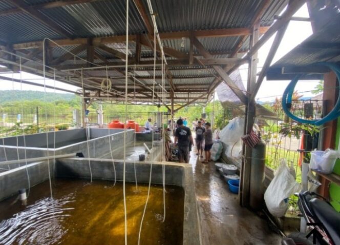 
					PT.CLM Jalankan Kepmen ESDM Serahkan Bibit Ikan Dan Udang Ke Petani Tambak Di Lutim