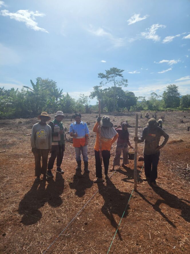 
					PT.CLM Laksanakan Program Pangan Berkelanjutan, Tanam Jagung di Lahan 20 Hektar