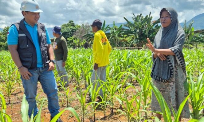 
					Dukung Program Swasembada Pangan, PT.CLM Berdayakan Petani Jagung di Lima Desa Pemberdayaan