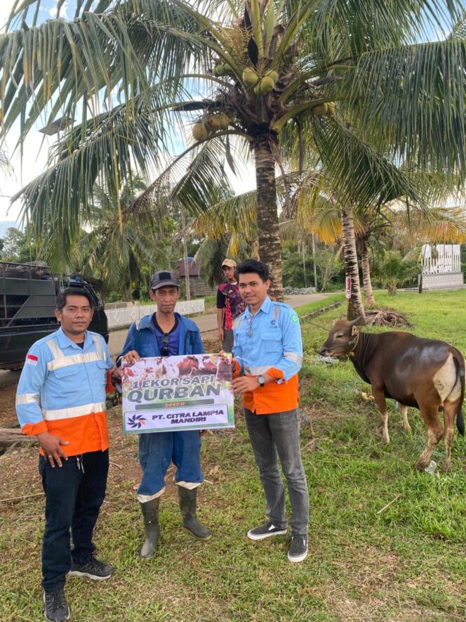 
					PT.CLM Serahkan Tujuh Ekor Sapi Kurban Kepada Masyarakat Di Wilayah Pemberdayaan