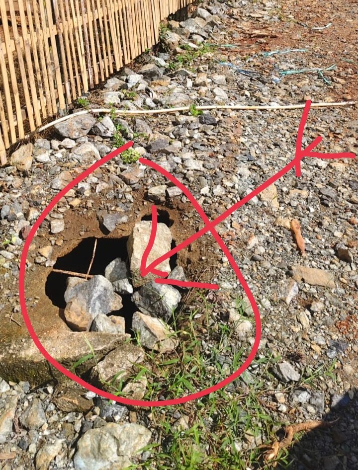 Miris! WC Satu-satunya di TK Pertiwi Lutim Jebol di Duga Diterjang Alat Berat, Siswa Tetap Pakai Meski Bau Menyengat